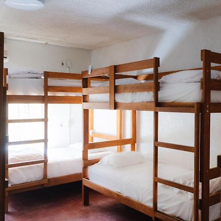 Desert Heart Hostel San José del Cabo Dış mekan fotoğraf
