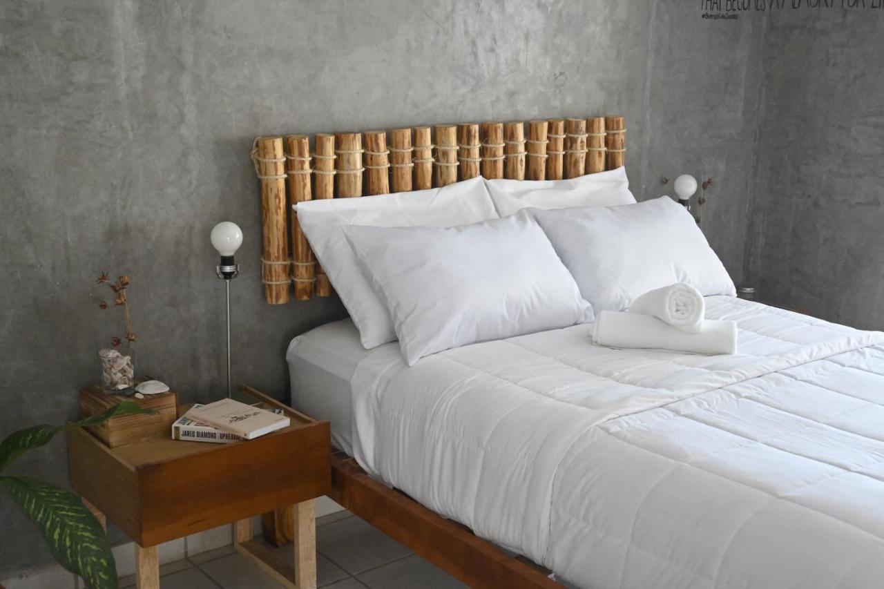 Desert Heart Hostel San José del Cabo Dış mekan fotoğraf
