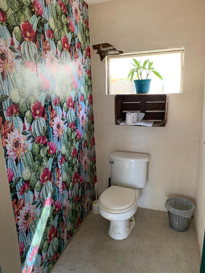 Desert Heart Hostel San José del Cabo Dış mekan fotoğraf