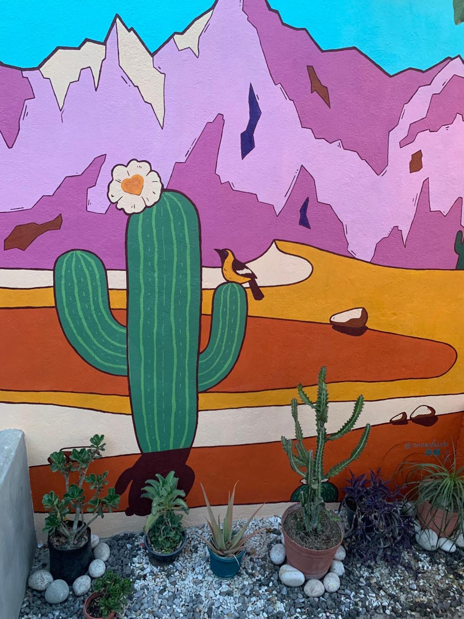 Desert Heart Hostel San José del Cabo Dış mekan fotoğraf