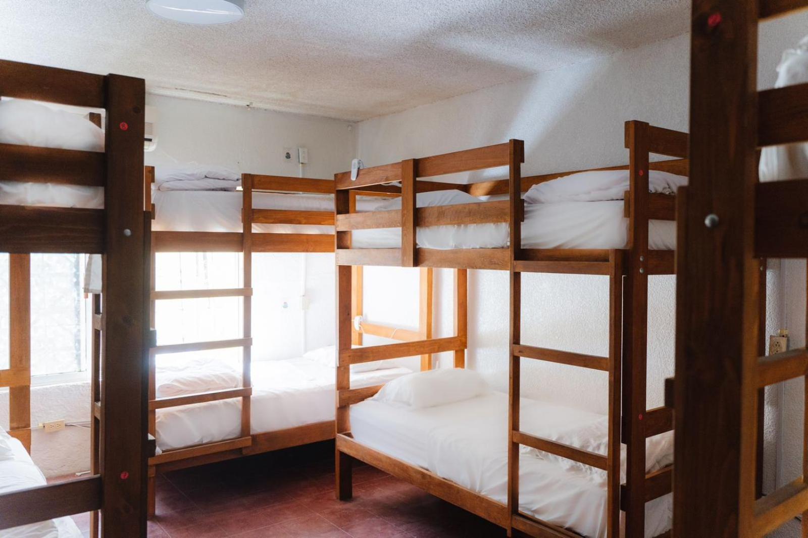Desert Heart Hostel San José del Cabo Dış mekan fotoğraf